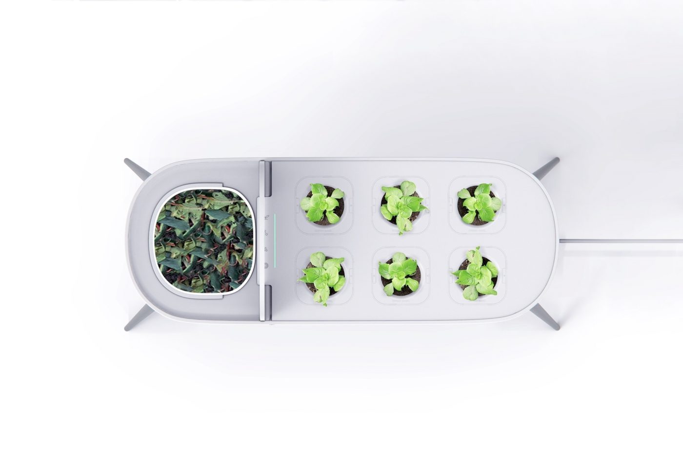 Sustainable family farm a white container with compostable holder and holes for kitchen herbs